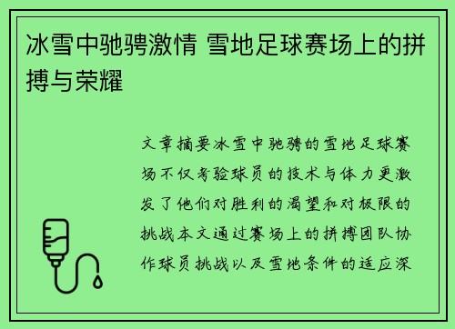 冰雪中驰骋激情 雪地足球赛场上的拼搏与荣耀