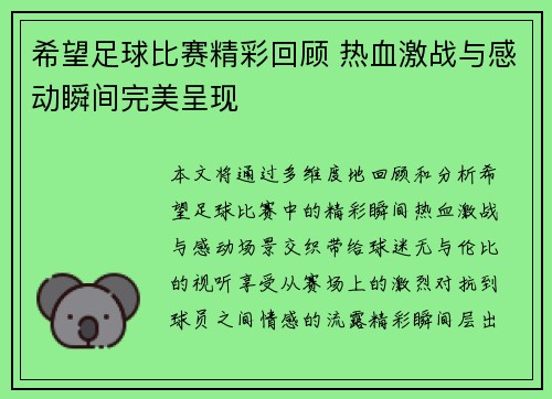 希望足球比赛精彩回顾 热血激战与感动瞬间完美呈现