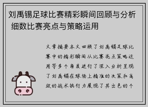 刘禹锡足球比赛精彩瞬间回顾与分析 细数比赛亮点与策略运用
