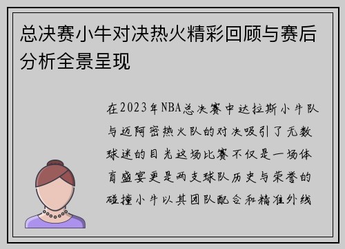 总决赛小牛对决热火精彩回顾与赛后分析全景呈现