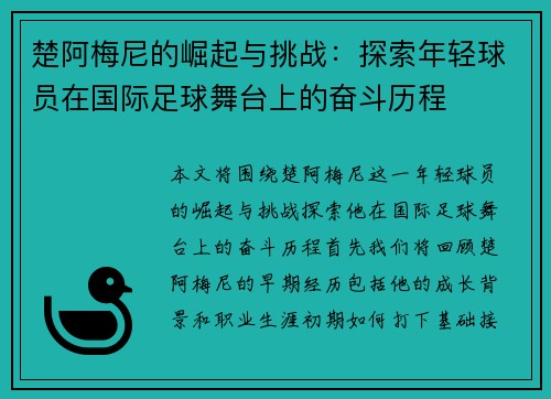 楚阿梅尼的崛起与挑战：探索年轻球员在国际足球舞台上的奋斗历程