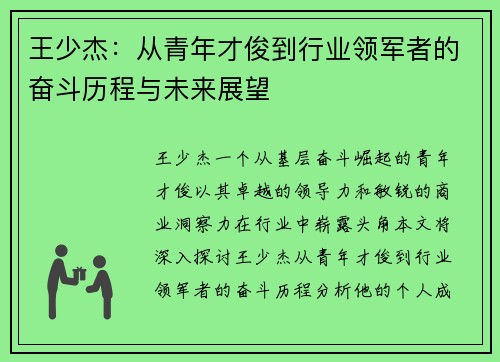 王少杰：从青年才俊到行业领军者的奋斗历程与未来展望