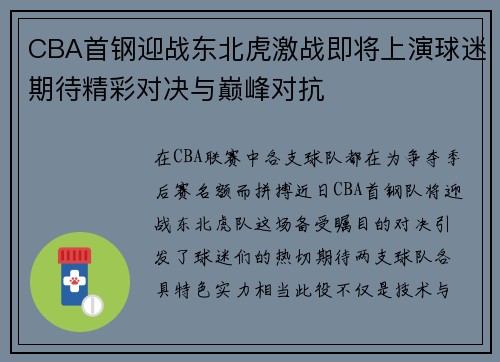 CBA首钢迎战东北虎激战即将上演球迷期待精彩对决与巅峰对抗