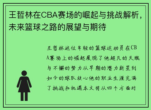 王哲林在CBA赛场的崛起与挑战解析，未来篮球之路的展望与期待