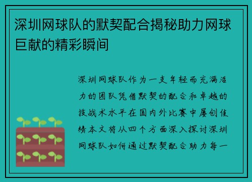深圳网球队的默契配合揭秘助力网球巨献的精彩瞬间